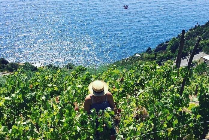 Refuge Uwabio Organic Vineyard Cinqueterre * Riomaggiore