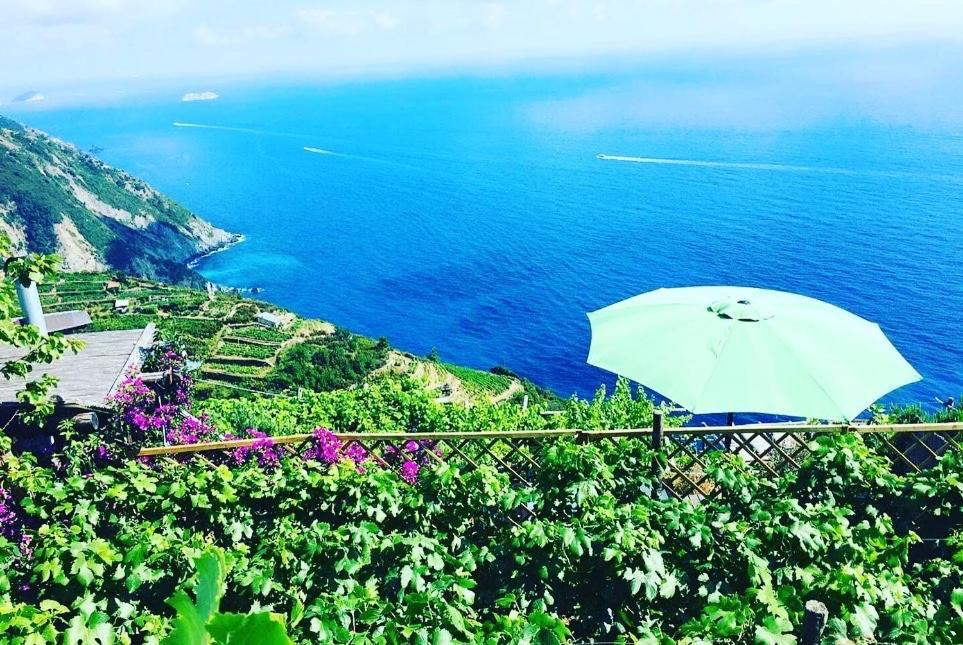 Refuge Uwabio Organic Vineyard Cinqueterre Villa
