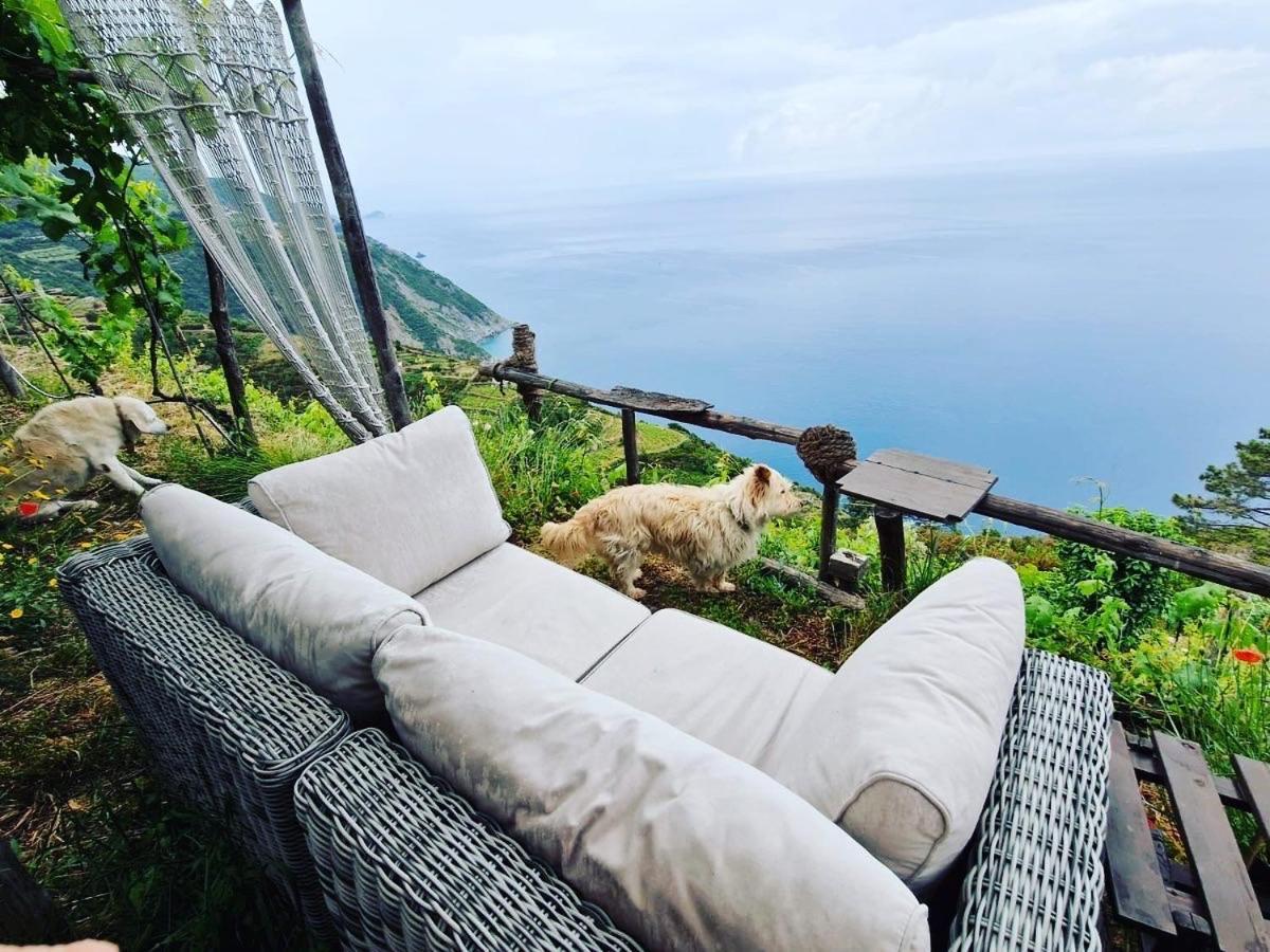 Refuge Uwabio Organic Vineyard Cinqueterre Villa Riomaggiore